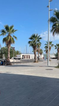 Palmbomen staan langs een geplaveid waterfrontgebied onder een lichtblauwe lucht. Een bezorgbusje is geparkeerd bij een gebouw met bruine accenten en zichtbare bootmasten.