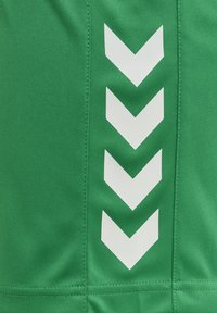 Pantalones cortos deportivos verdes con patrones en forma de flecha blancos y costuras visibles. Textura de tela suave y diseño de corte recto.