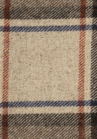 Tissu en laine avec un motif à carreaux, présentant des carrés beige bordés de lignes bleues et rouges, et de sombres rayures diagonales texturées.