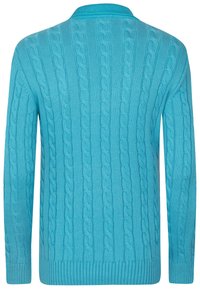 Turquoise gebreide trui met een kabelpatroon, geribbelde onderrand en boorden, en een ronde halslijn. De achterkant is weergegeven.