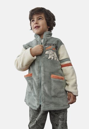 ADVENTURE - Abrigo corto - verde oliva