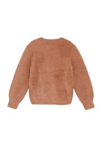 Puszysty, pluszowy sweter w jasnobrązowym kolorze, z długimi rękawami i okrągłym dekoltem. Tył jest prosty, bez wzorów czy akcentów.