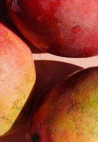 Drei reife Mangos mit Wassertropfen auf ihrer roten, gelben und grünen Haut unter hellem Licht, das Schatten wirft.