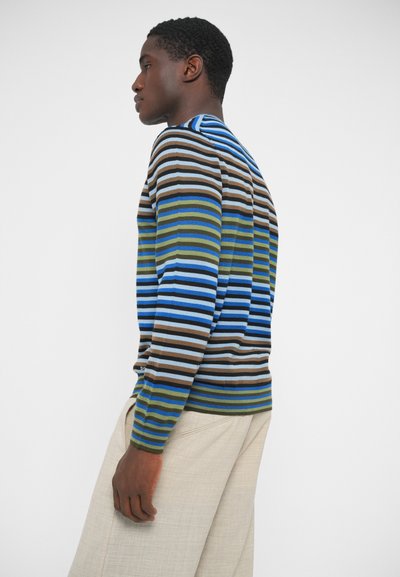 Svītraina džemperis ar horizontālām joslām zilā, brūnā, zaļā un pelēkā krāsā. Pieguļošs dizains ar garām piedurknēm un ribām ap manžetēm.