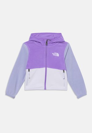 The North Face, GLACIER HOODIE UNISEX - Яке от полар - elevation purple/ice lilac/pale plum