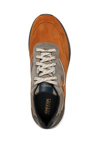 Geox U SPHERICA ACTIF X1 - Sneakers basse - cognac desert