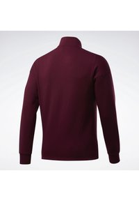 Pull à manches longues, couleur bordeaux foncé, avec un col montant, vu de dos sur un fond gris clair uni.
