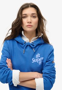 Superdry & Co COOPER TONAL - Jersey con capucha - royal mid blue