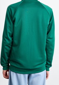 Grön sweatshirt med en slät yta, ribbad manschett och nederkant, rund hals och raglanärmar. Bärs över ljusblå byxor.