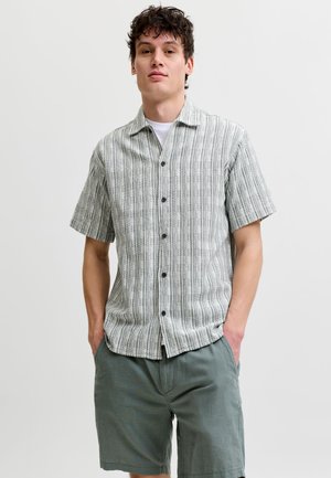 Jack & Jones PREMIUM JPRBLUTIAGO STRUCTURE SS RESORT SHIRT SN - Chemise - laurel wreath