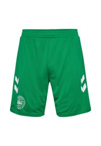 Gröna sportshorts i lätt tyg, med vita chevron-detaljer på sidorna och en cirkulär logotyplapp. Elastisk midja.