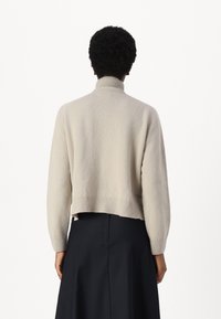 DRYKORN LYZIMA - Strickpullover - brown