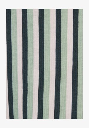 Mesginis audinys su vertikaliomis juostelėmis tamsiai žalia, šviesiai žalia ir šviesiai rožine spalvomis. Lygus paviršius su nuosekliu raštu ir vienodais atstumais.