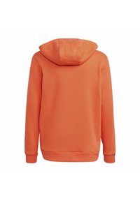 Felpa con cappuccio arancione dalla texture morbida, dotata di cappuccio con coulisse, maniche lunghe e orli e polsini a costine. Nessun logo o motivo visibile.