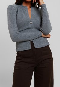 Cardigan grigio a maglia con chiusura a bottoni e design cropped. Presenta polsini a coste e orlo dritto. Indossato sopra pantaloni marroni scuri.
