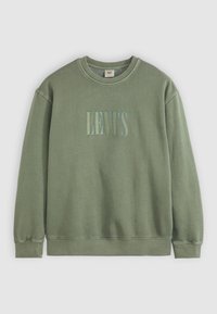 Groene katoen sweatshirt met ronde hals en lange mouwen. "LEVI'S" geborduurd in bijpassend groen aan de voorkant. Zachte textuur, casual ontwerp.
