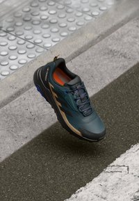 Adidas Terrex ANYLANDER R.RDY - Pohodniški čevlji - aurora ivy/core black/cardboard