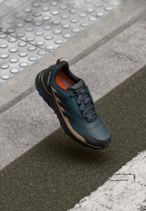 Adidas Terrex ANYLANDER R.RDY - Pohodniški čevlji - aurora ivy/core black/cardboard
