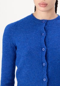 BDG Urban Outfitters COSY CREW - Adīta jaka - bright blue