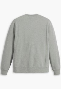 Light grey sweatshirt featuring a soft texture, long sleeves, and a round neckline. The back is plain and seamless with ribbed cuffs.