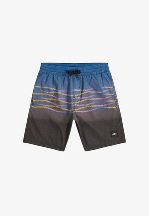 Pánské plavky s přechodem barev z modré do tmavě šedé, vzorem loga s mnoho barevnými horizontálními pruhy, černým stahovacím páskem v pase a bočními kapsami.