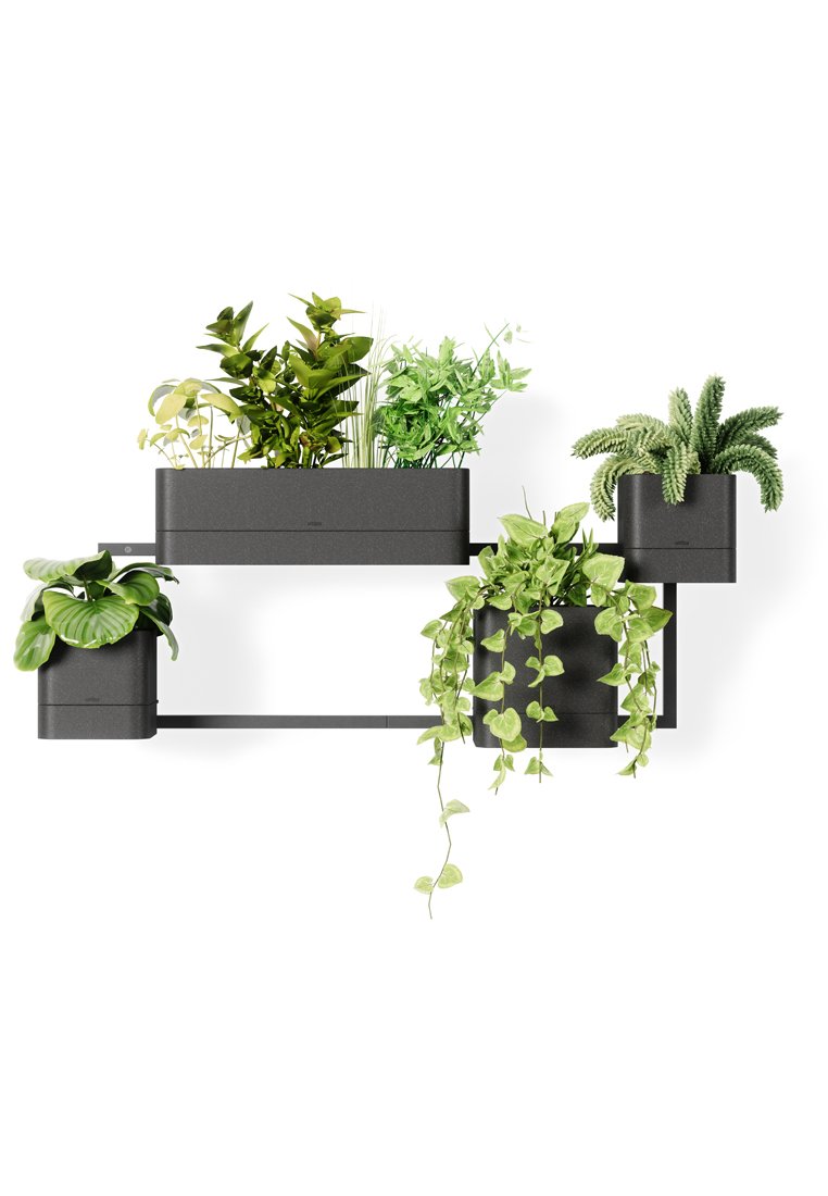 Vertikal planter i svart metall med flera fack som innehåller olika gröna växter, inklusive hängande vinstockar och buskiga bladverk.