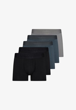 Vijf paar boxershorts in verschillende tinten zwart, grijs en blauw. Voorzien van een zachte tailleband met een reliëf logo van het merk. Glad materiaal.