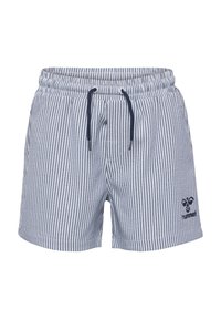 Randiga baddräktsshorts i marinblått och vitt, med resårmidja och snörning samt en liten logotyp på nedre vänstra benet.