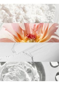 Quatre sections horizontales en gros plan montrant de la poudre blanche, des pétales de fleurs roses, de la poudre blanche sur une surface et un liquide clair avec des bulles.