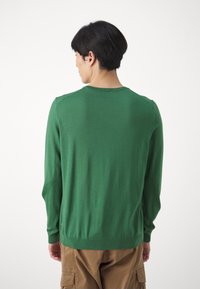BOSS LENO-P - Džemperis - open green