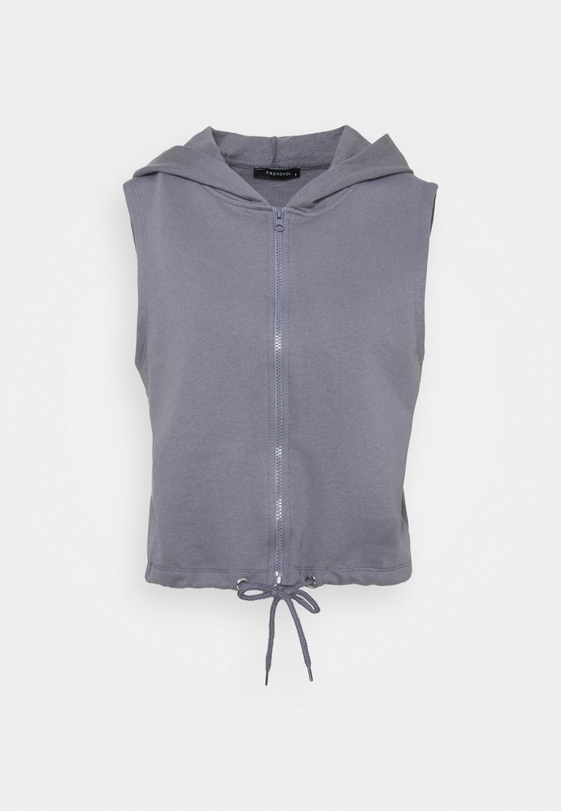 Grijze mouwloze hoodie met een rits aan de voorkant, aanpasbare trekkoord bij de zoom en een zachte stofstructuur. Eenvoudig ontwerp zonder patronen.