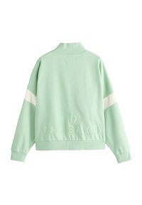 Světle zelená mikina se zvýšeným límcem, žebrovanými manžetami a bílým pruhem na rukávech. Logo "TED BAKER" je vyražené na zadní straně.