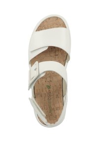White sandals with two adjustable straps, cork insole, flat sole, and a smooth leather-like upper featuring a metal buckle detail.