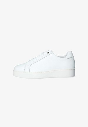 EXTON SNEAKER - Sneakers basse - bianco