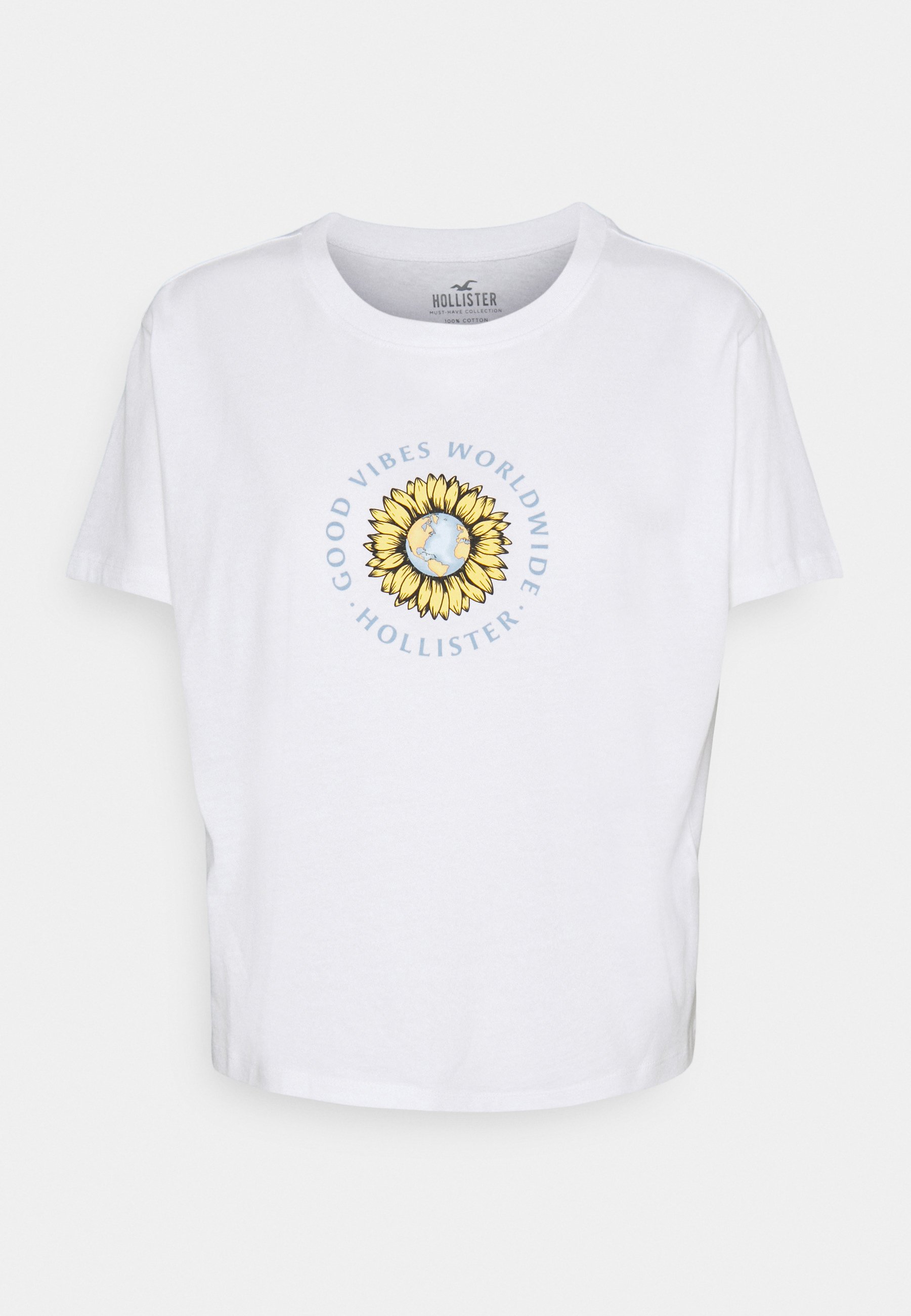 Hollister Co. GRAPHIC EARTH DAY TEE 