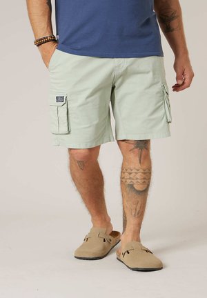 ORIGINAL SLOG - Shorts - mandel