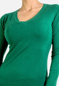 Pull vert à manches longues avec un col en V. Fait de matériau doux ; présente une texture lisse et une coupe ajustée.