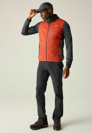 Regatta, REGATTA HIGHTON II ZIP OFF WALKING TROUSERS WALKING TROUSERS - Stoffhose - grey