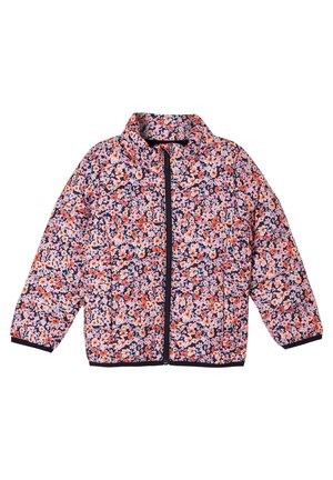 Winterjas - multi-coloured