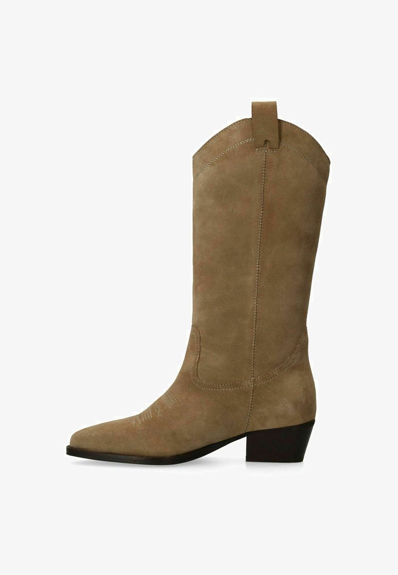 Botte de cowboy en daim brun avec un bout pointu, un talon bloc et une broderie décorative le long de la tige. Elle comporte une languette de tirage en haut.