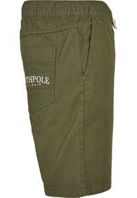 Southpole TWILL - Šortky - olive
