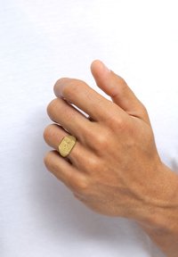 KUZZOI SIGNET HORSE - Bague - gold-coloured