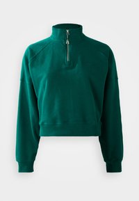 CARRERA ZIP - Sweatshirt - dark green