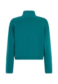 Giacca in fleece verde acqua a maniche lunghe con colletto alto e orlo elastico, mostrata da dietro su uno sfondo bianco.