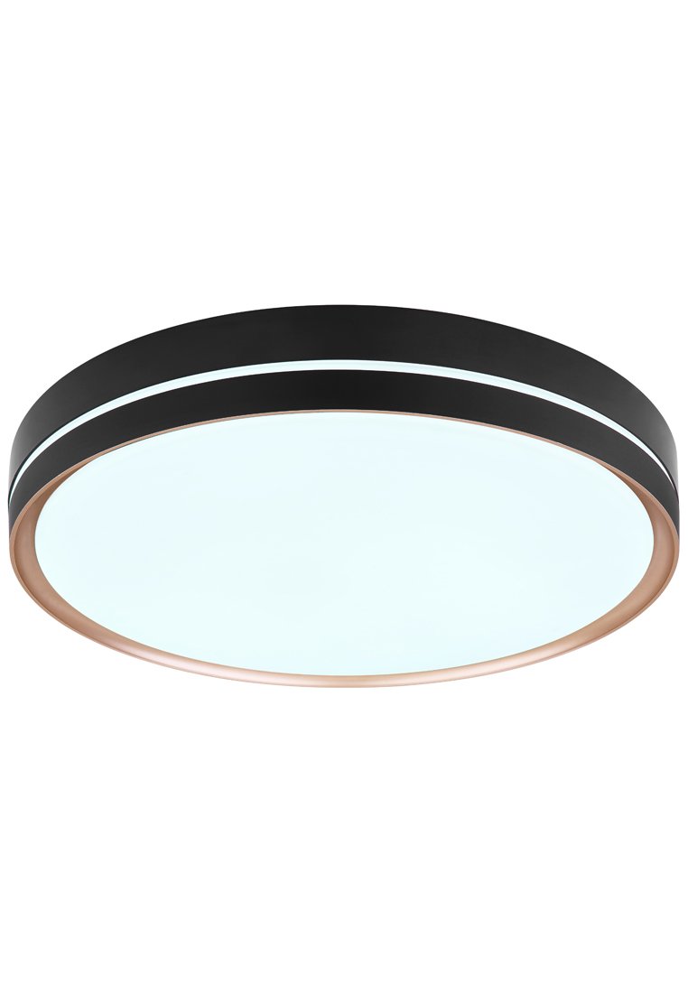 Runde Deckenleuchte mit einem schwarzen Metallrahmen und integriertem LED-Panel. Verfügt über einen weißen Diffusor und eine bronzefarbene Akzentuierung am Rand.