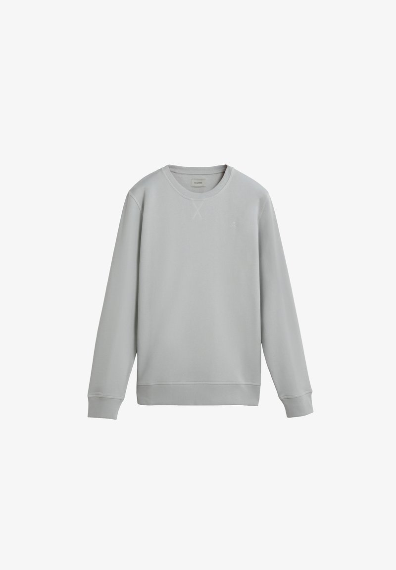 Lichtgrijze sweatshirt gemaakt van zacht materiaal. Ribgebreide manchetten en zoom, ontwerp met ronde hals, met een klein logo op de borst. Glad oppervlak.