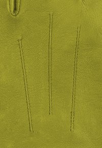 Kessler CARLA - Guanti - light green