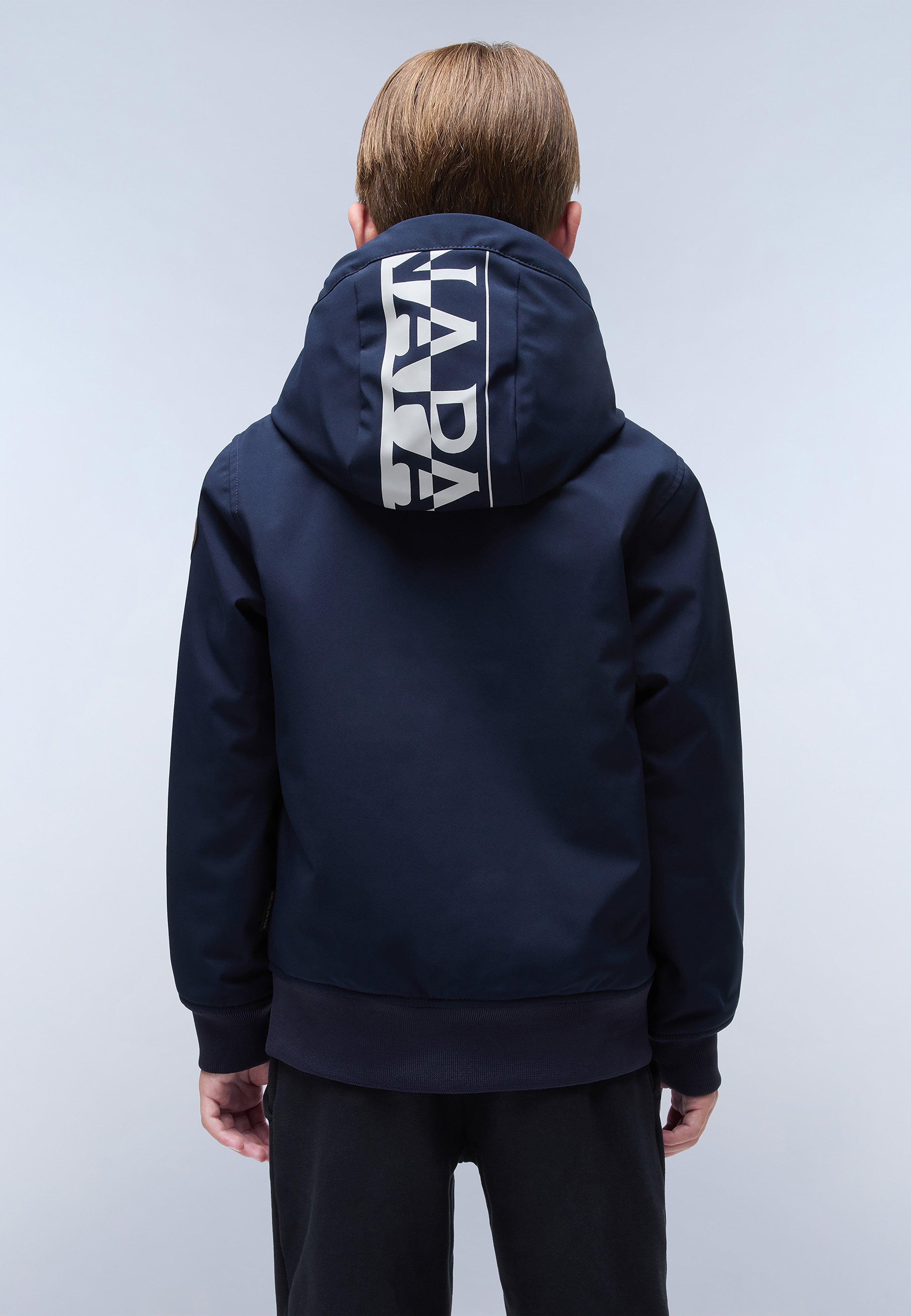 Napapijri ALTMANN - Winter jacket - blu marine/blue - Zalando