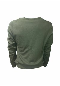 Grüner Pullover mit langen Ärmeln, rundem Hals und einem gerippten Saum. Der Stoff wirkt glatt mit minimaler Textur und ohne sichtbare Muster.