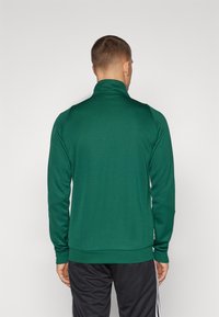Grønn langermet genser med høy krage, med en glatt tekstur og tilpasset design, sett fra bak.